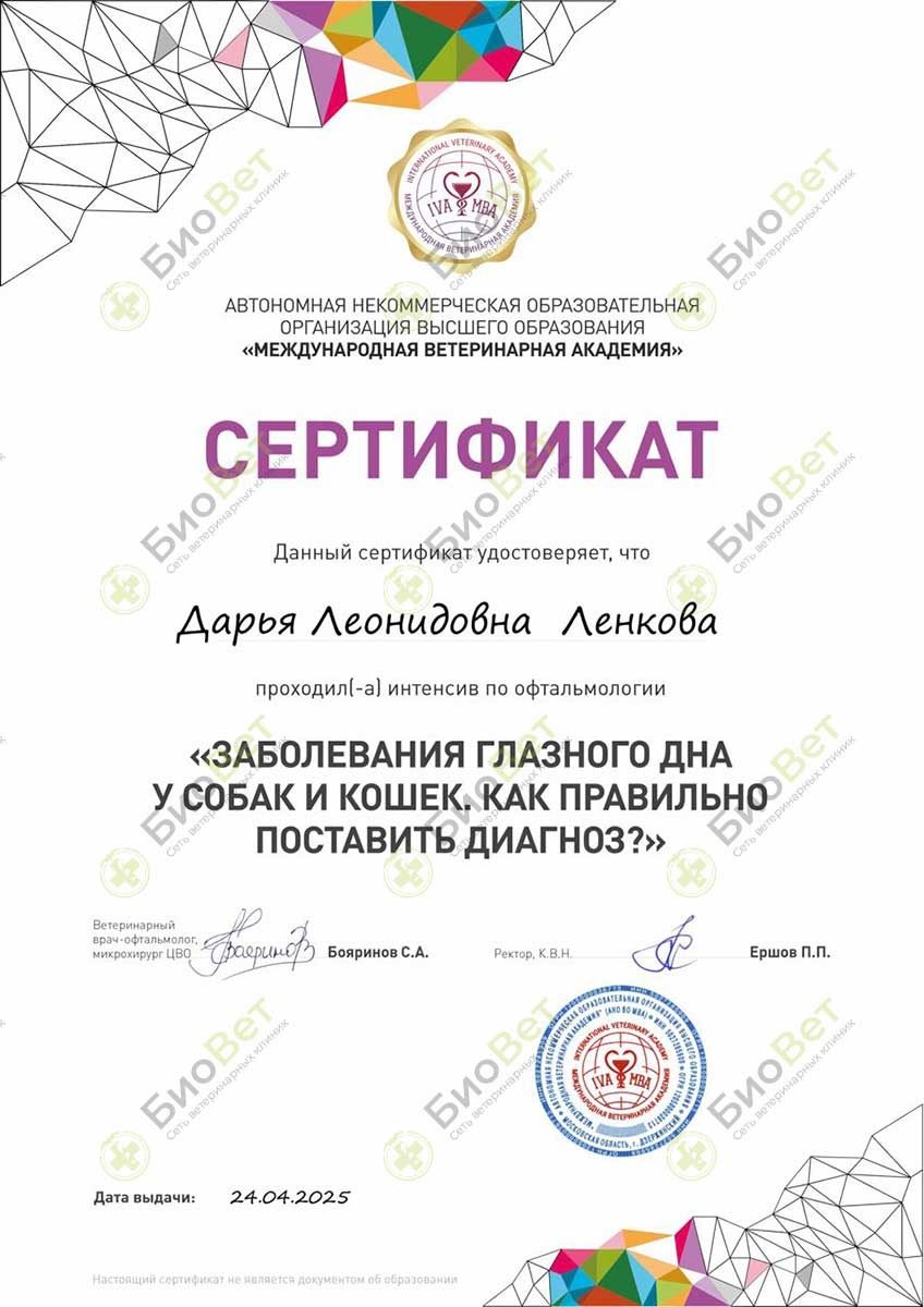 Документ или сертификат