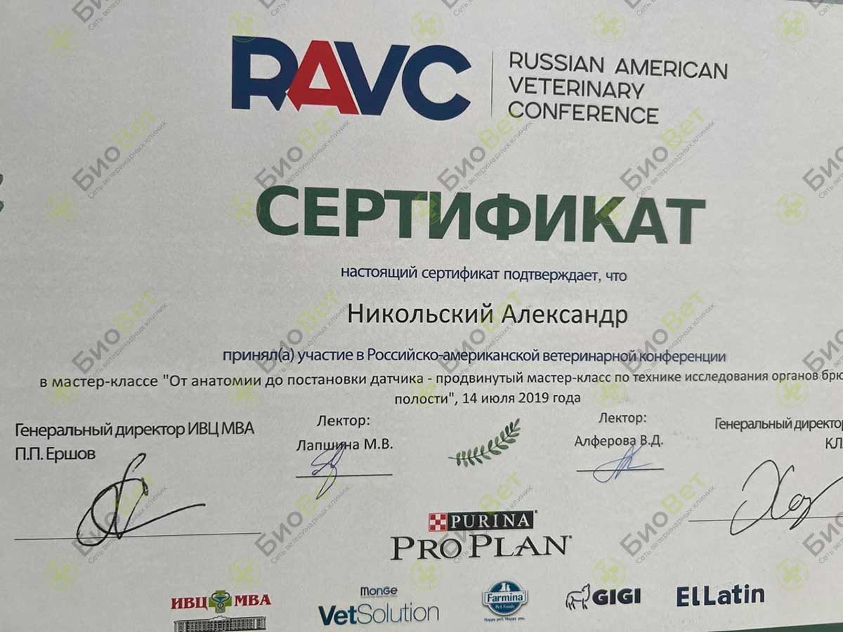Документ или сертификат