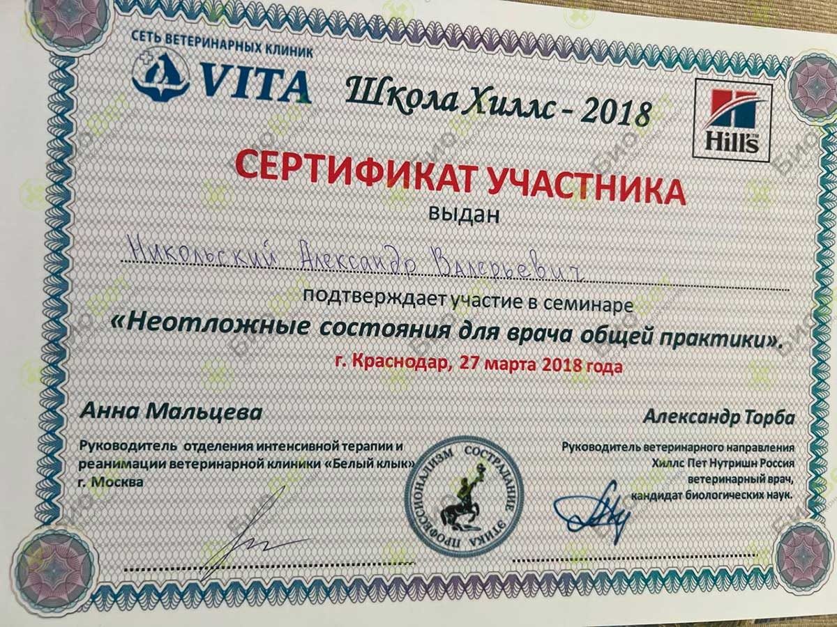 Документ или сертификат