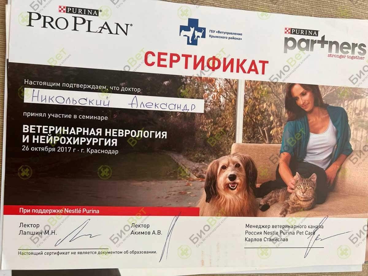 Документ или сертификат