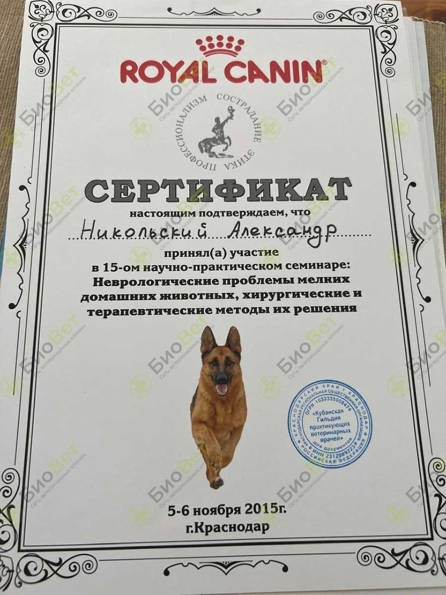 Документ или сертификат