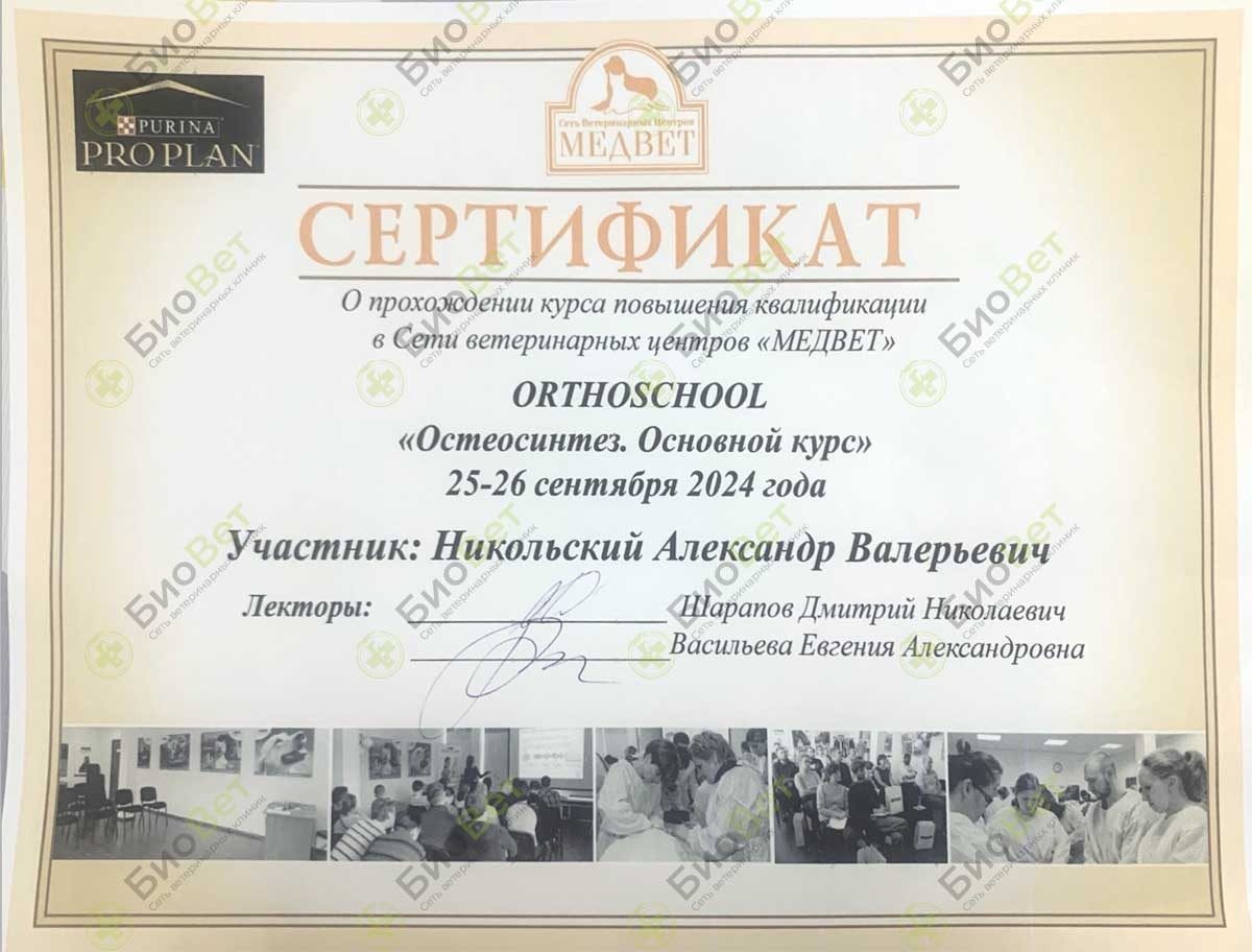 Документ или сертификат