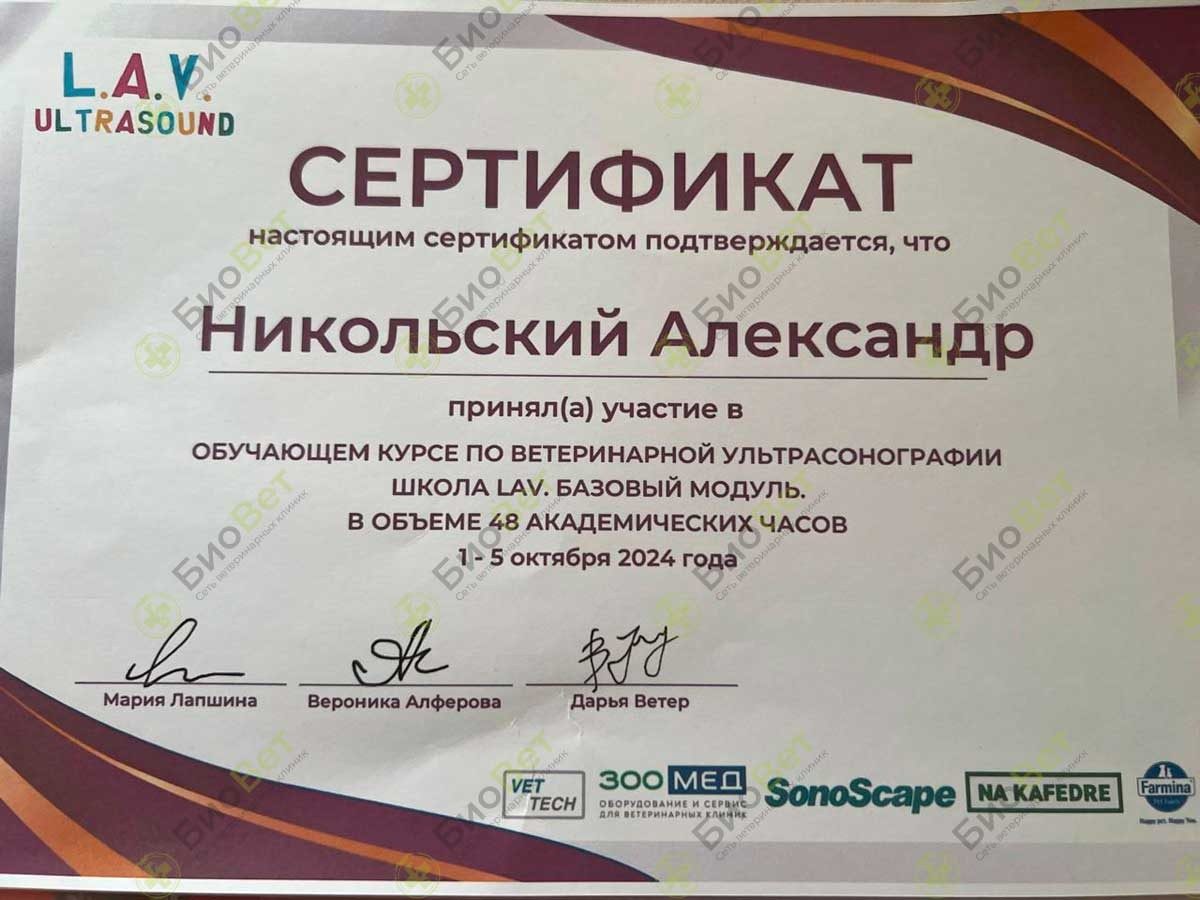 Документ или сертификат