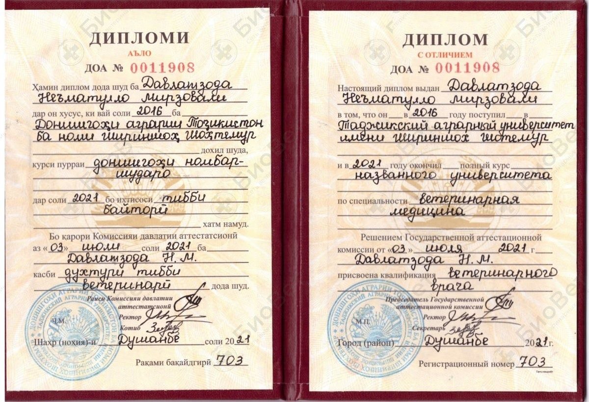 Документ или сертификат