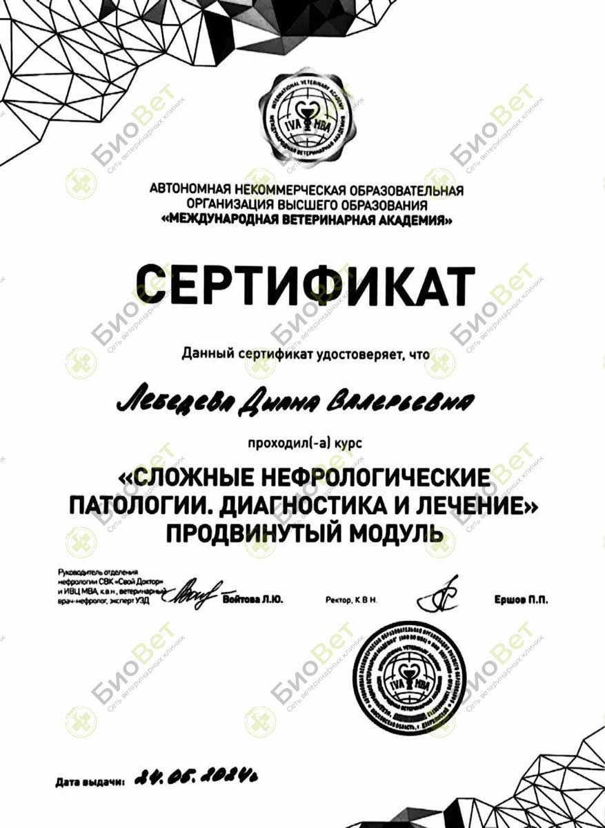 Документ или сертификат