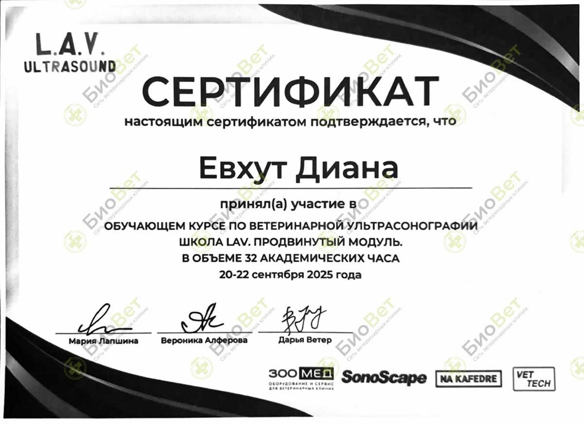 Документ или сертификат