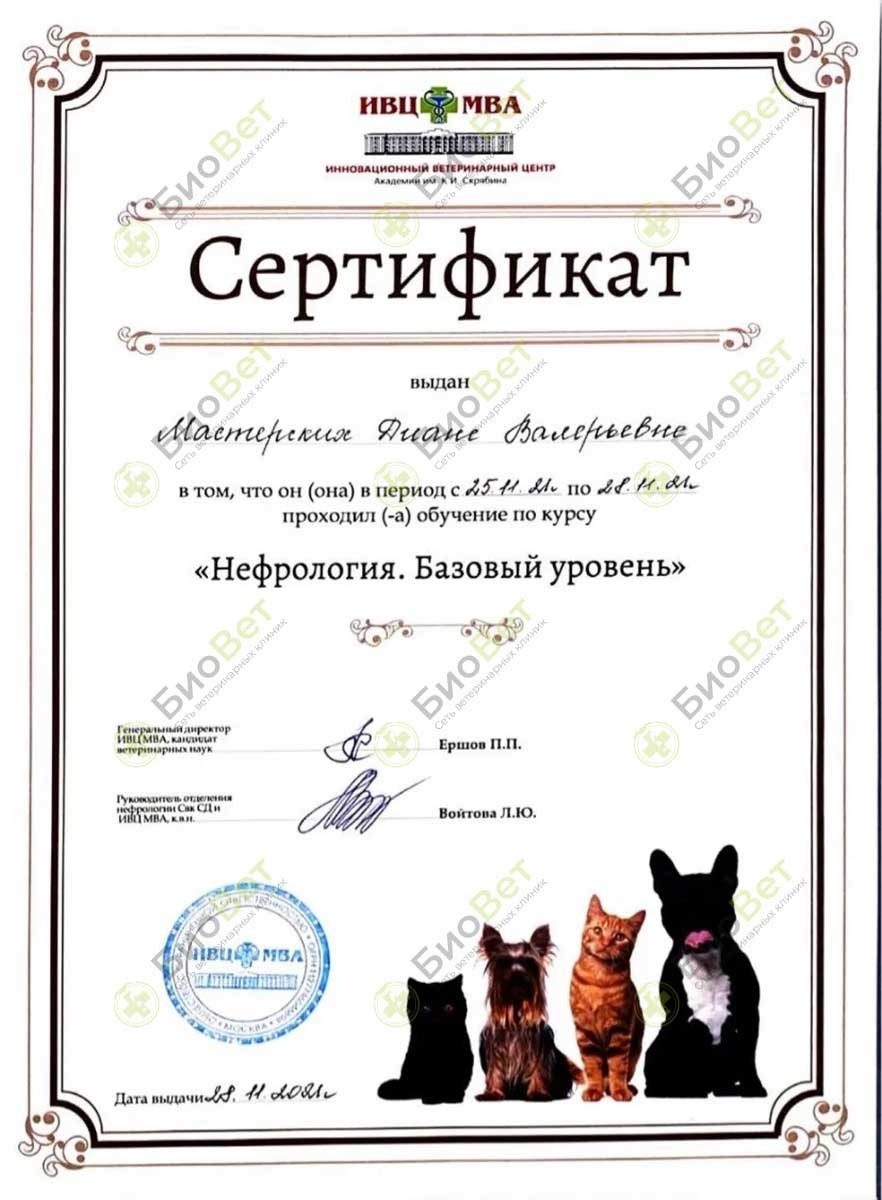 Документ или сертификат