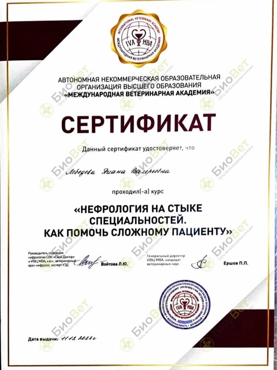 Документ или сертификат