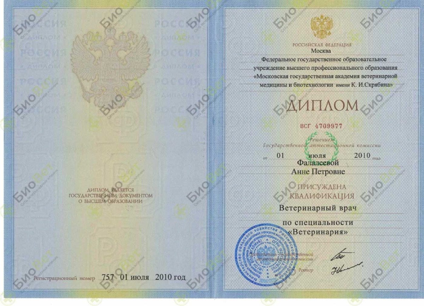 Документ или сертификат