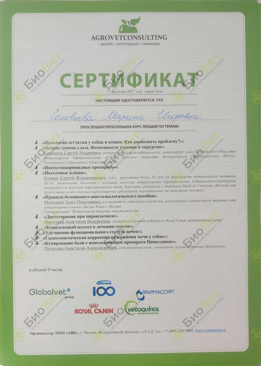 Документ или сертификат
