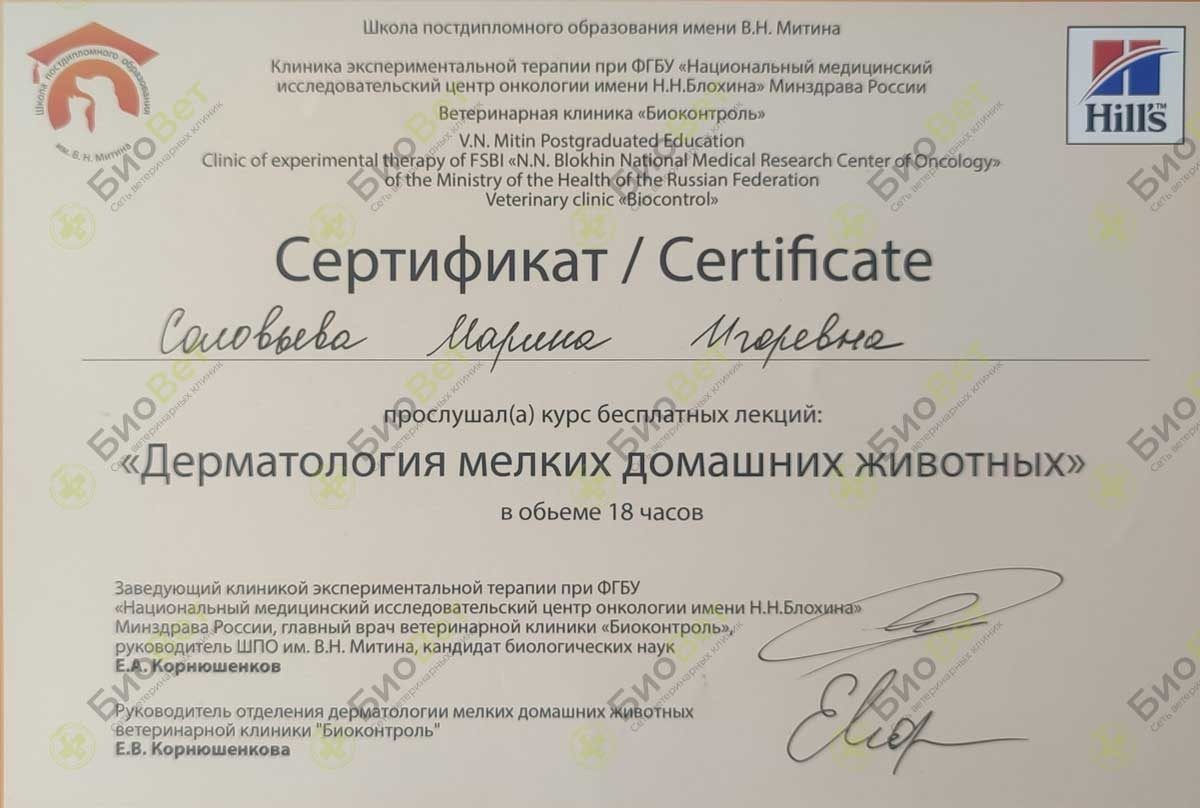 Документ или сертификат
