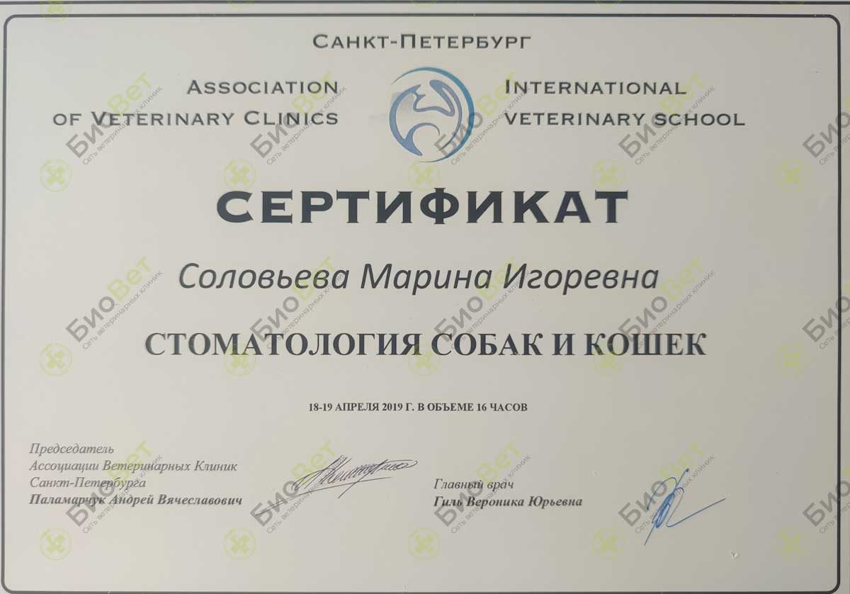 Документ или сертификат