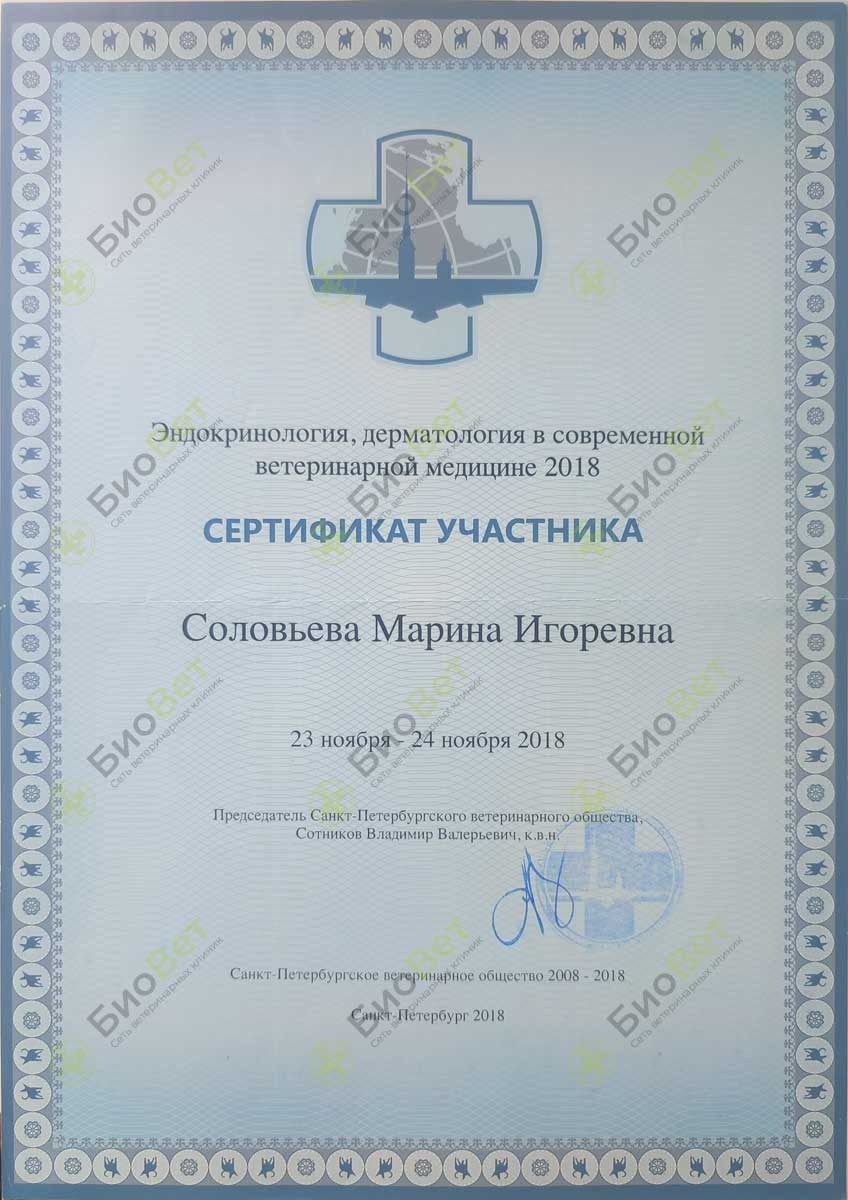 Документ или сертификат