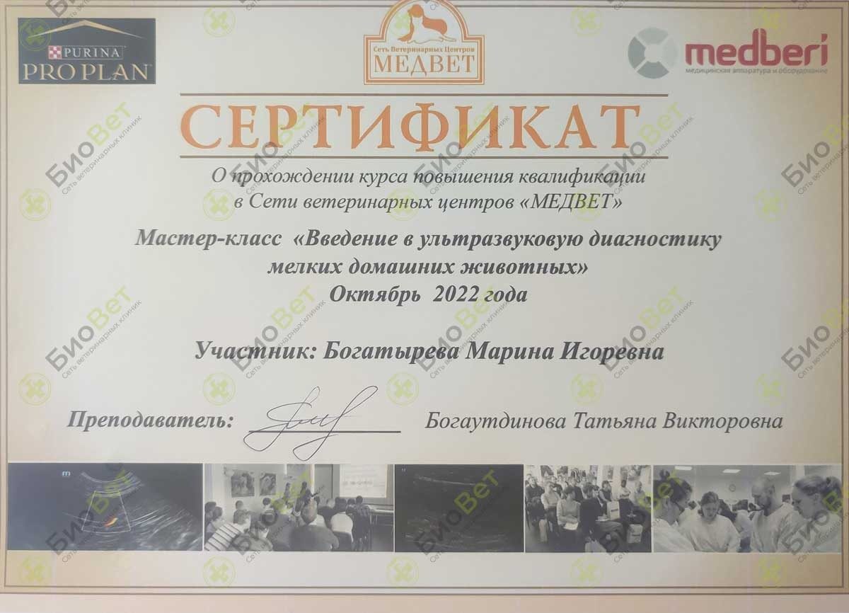 Документ или сертификат
