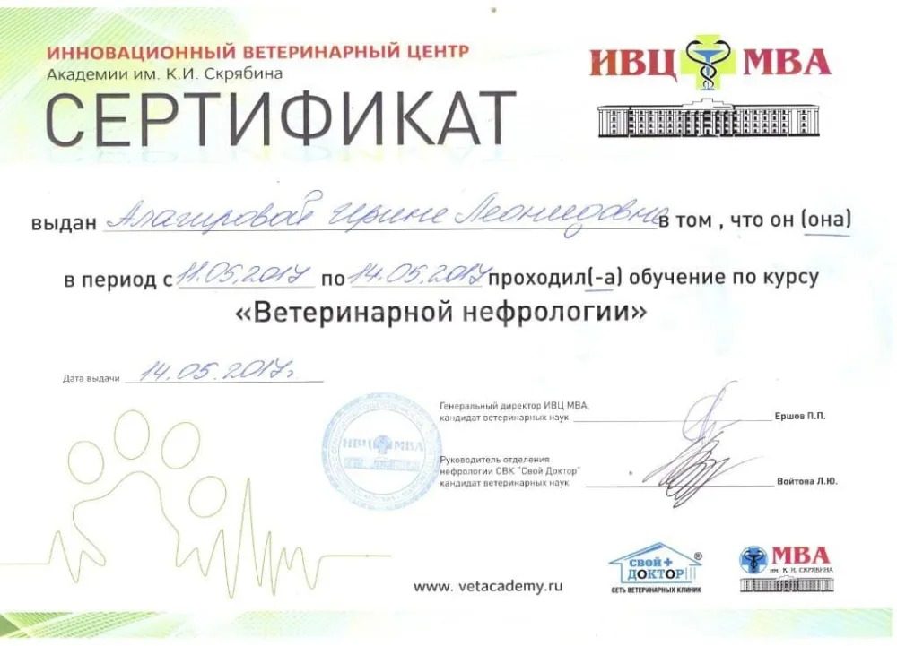 Документ или сертификат