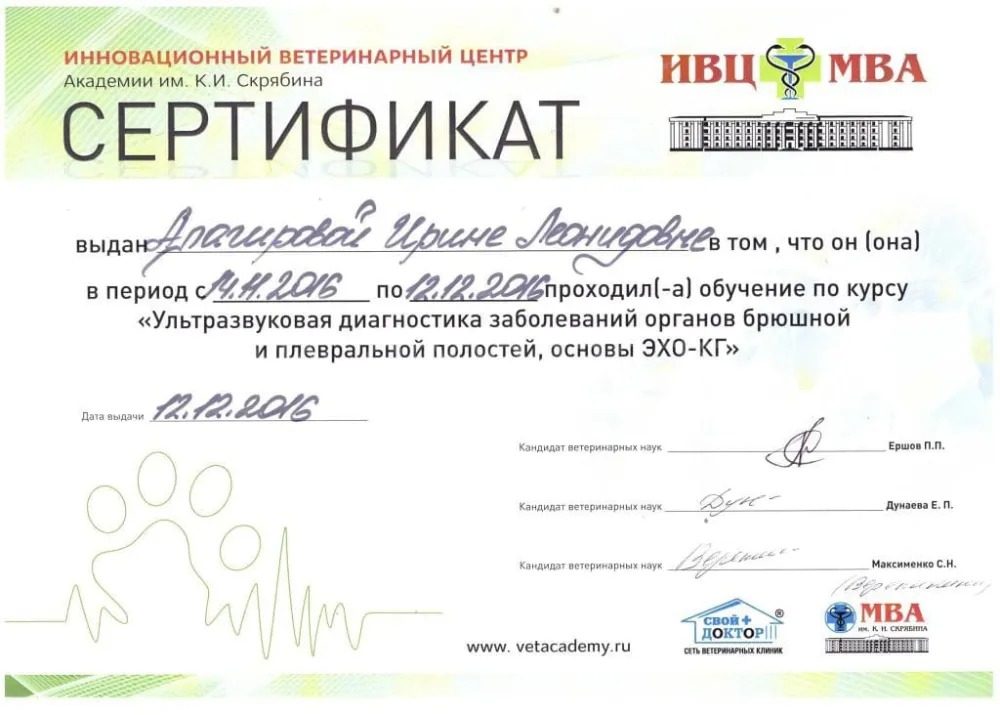 Документ или сертификат