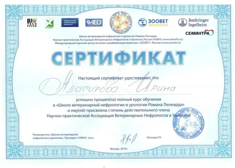 Документ или сертификат