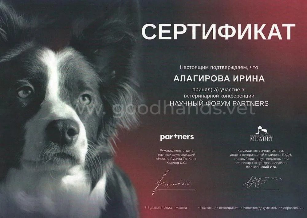 Документ или сертификат
