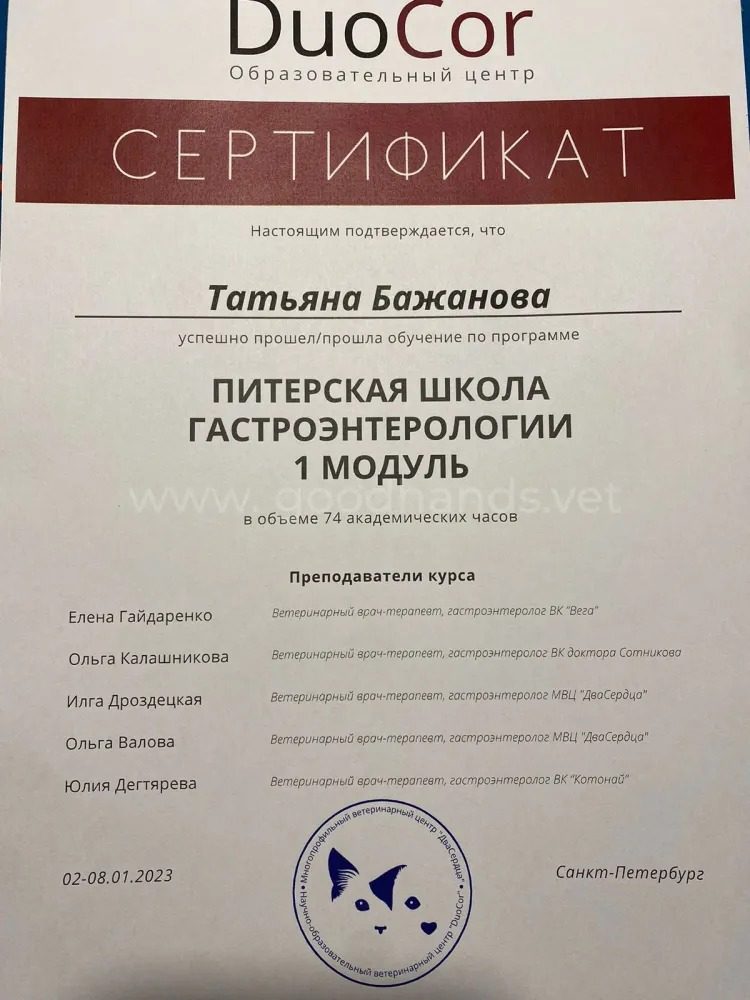 Документ или сертификат