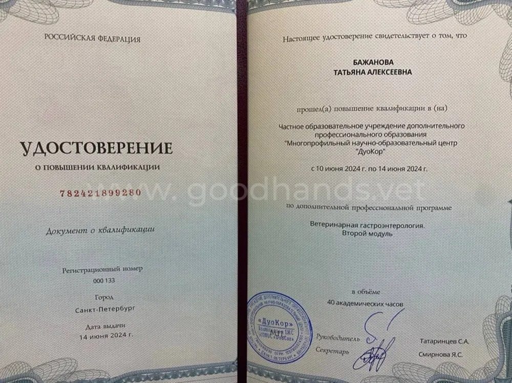 Документ или сертификат