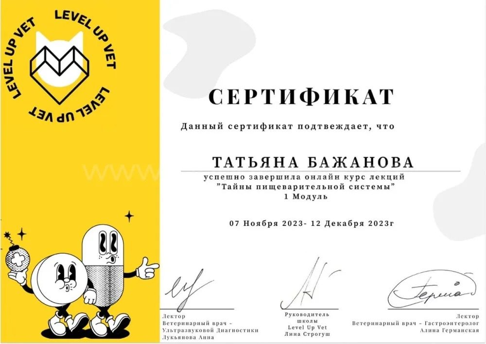 Документ или сертификат