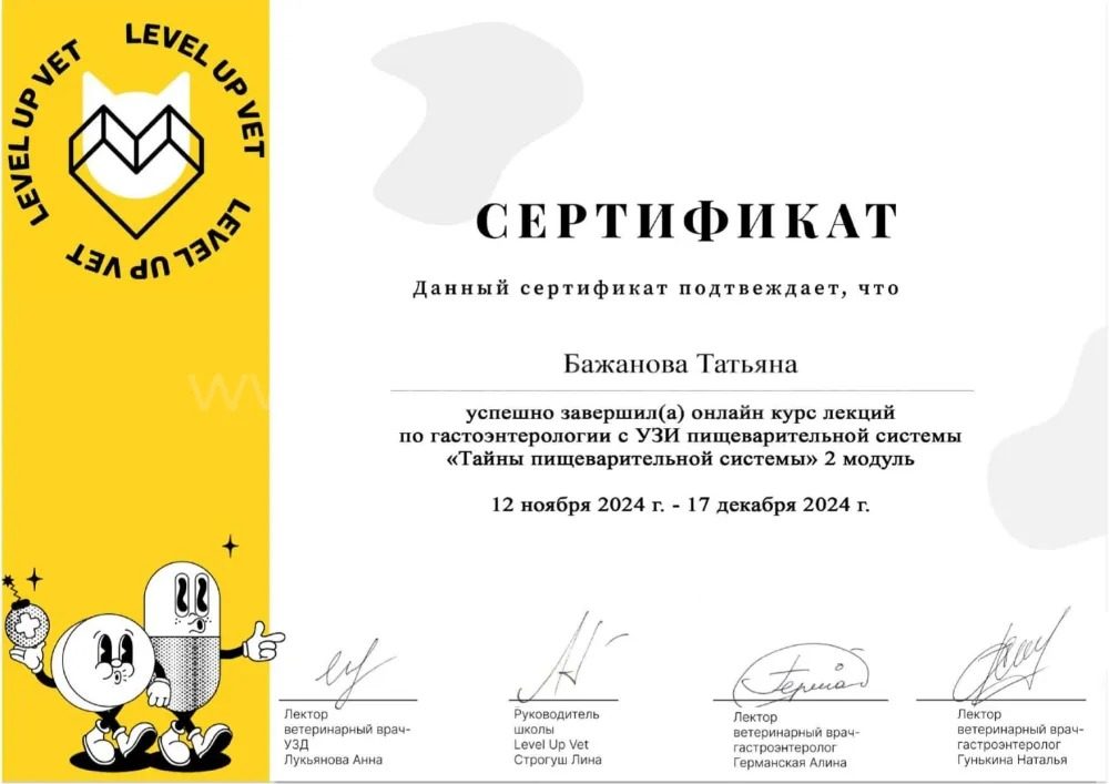 Документ или сертификат