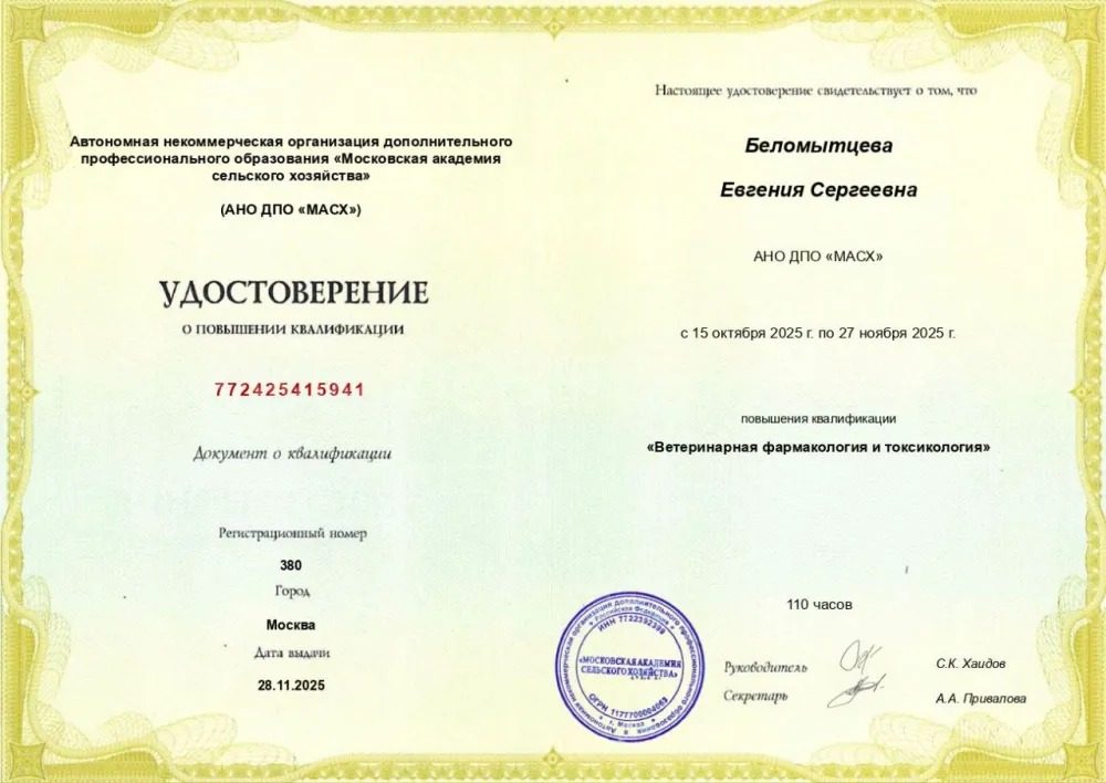Документ или сертификат