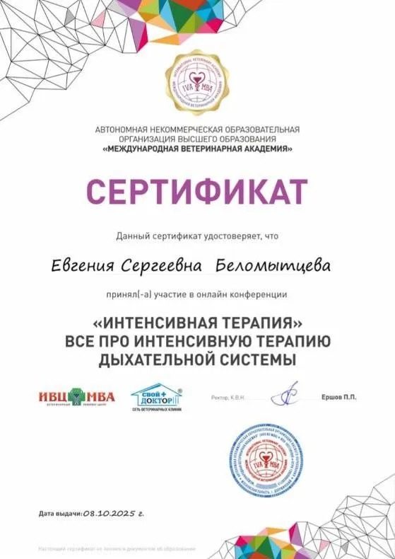 Документ или сертификат