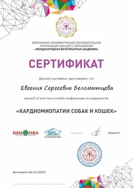 Документ или сертификат