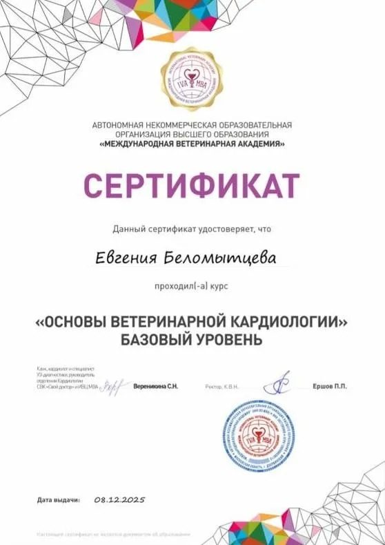 Документ или сертификат