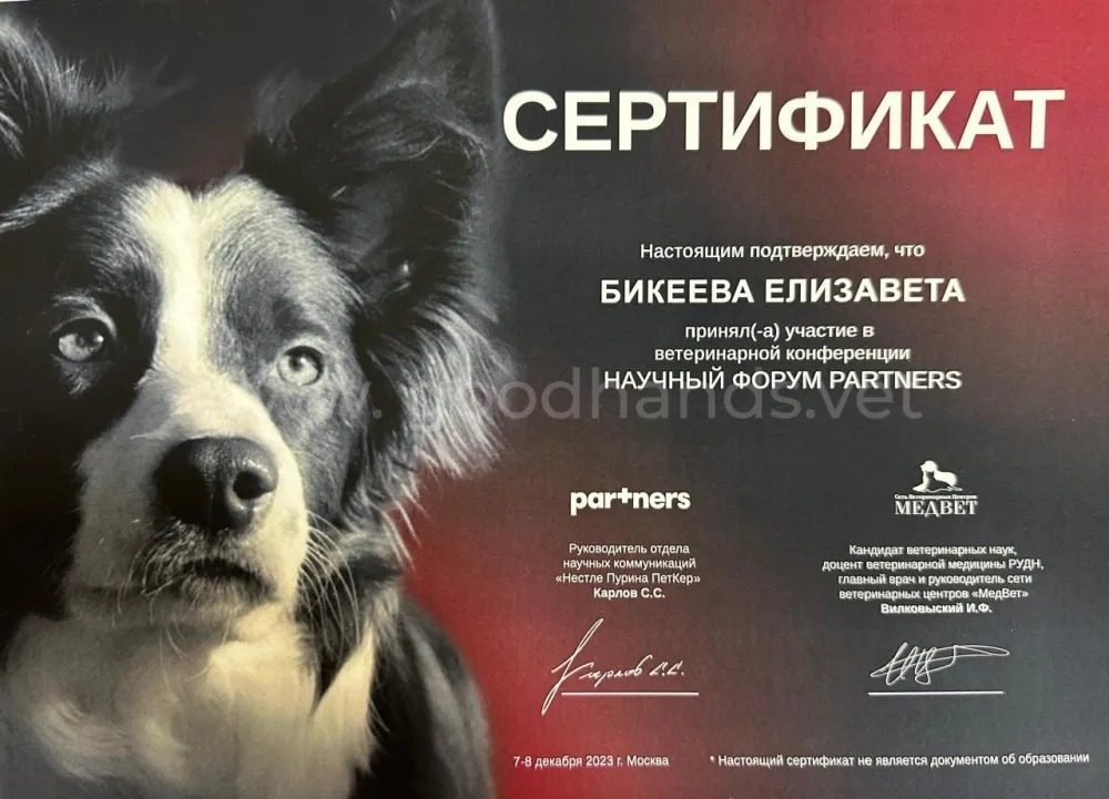 Документ или сертификат