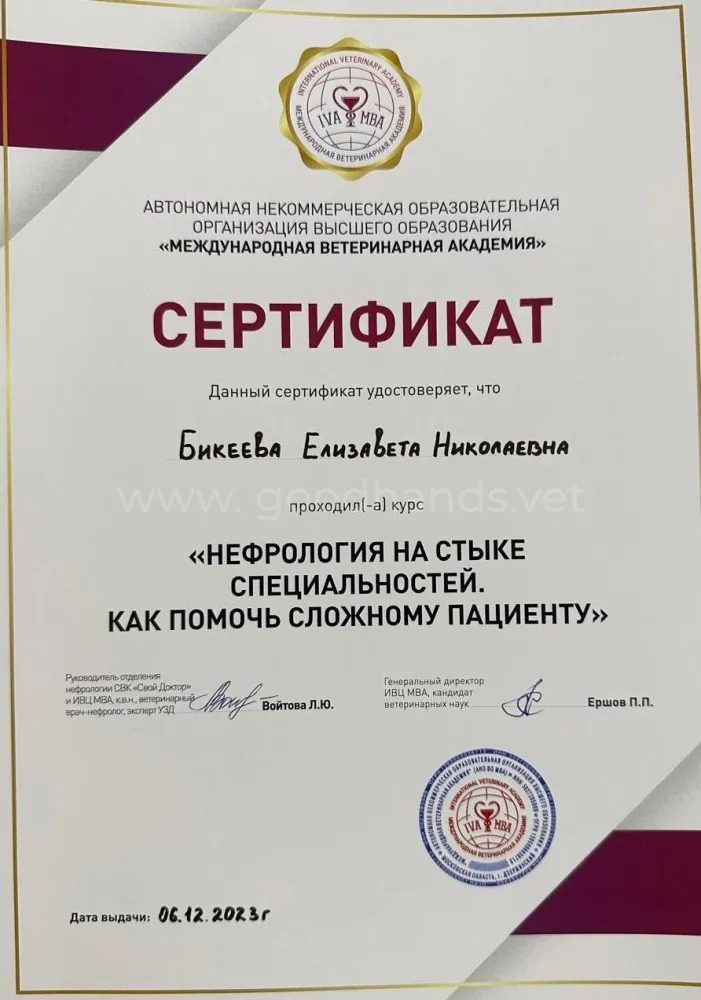 Документ или сертификат
