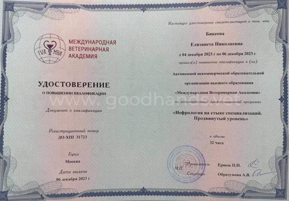 Документ или сертификат
