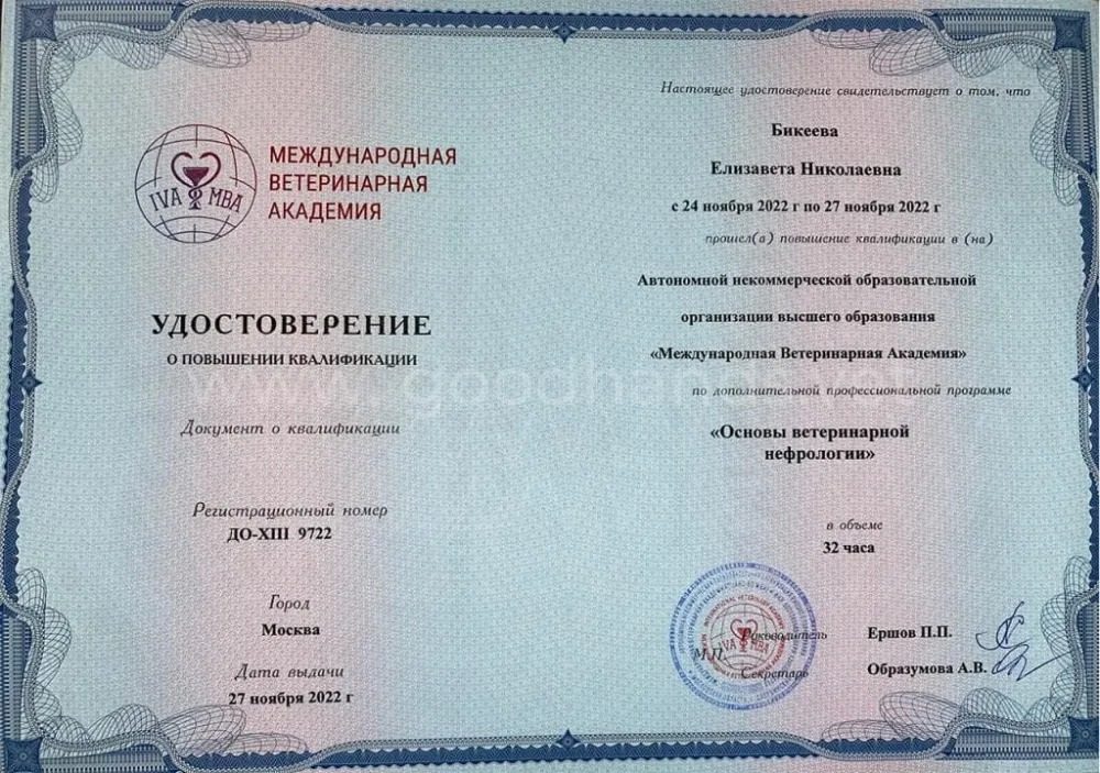 Документ или сертификат