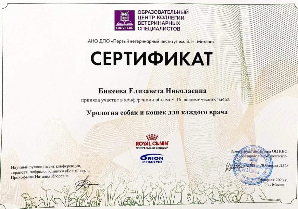 Документ или сертификат