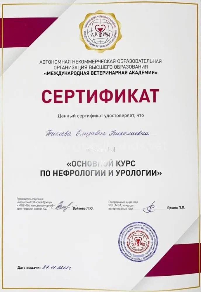 Документ или сертификат