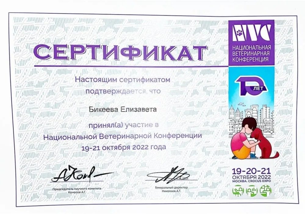 Документ или сертификат