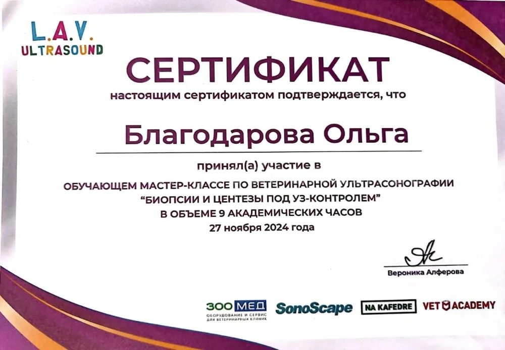 Документ или сертификат