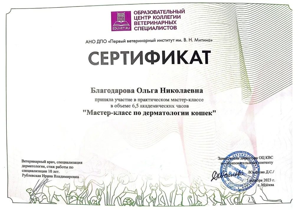 Документ или сертификат