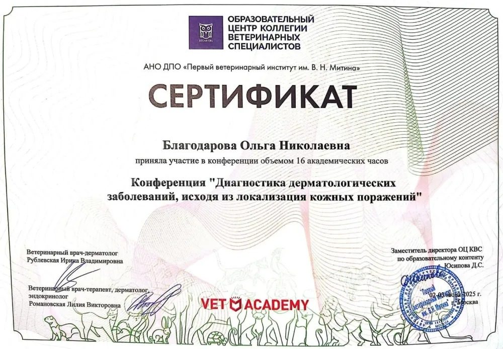 Документ или сертификат