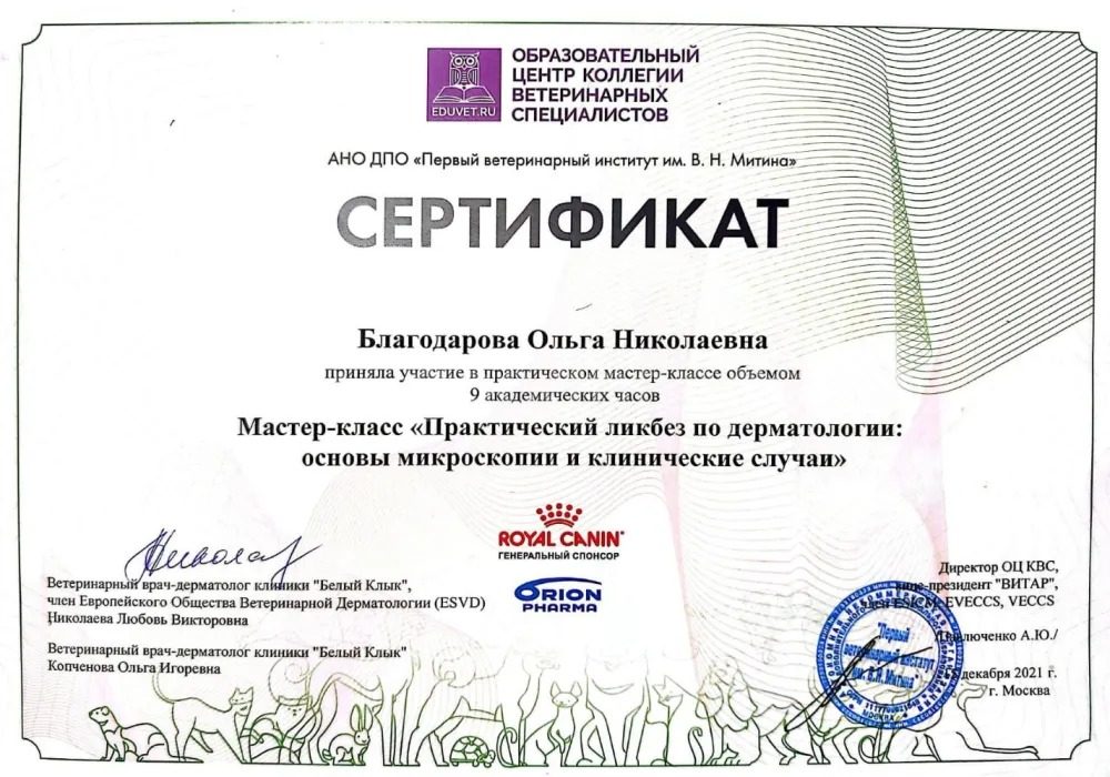 Документ или сертификат