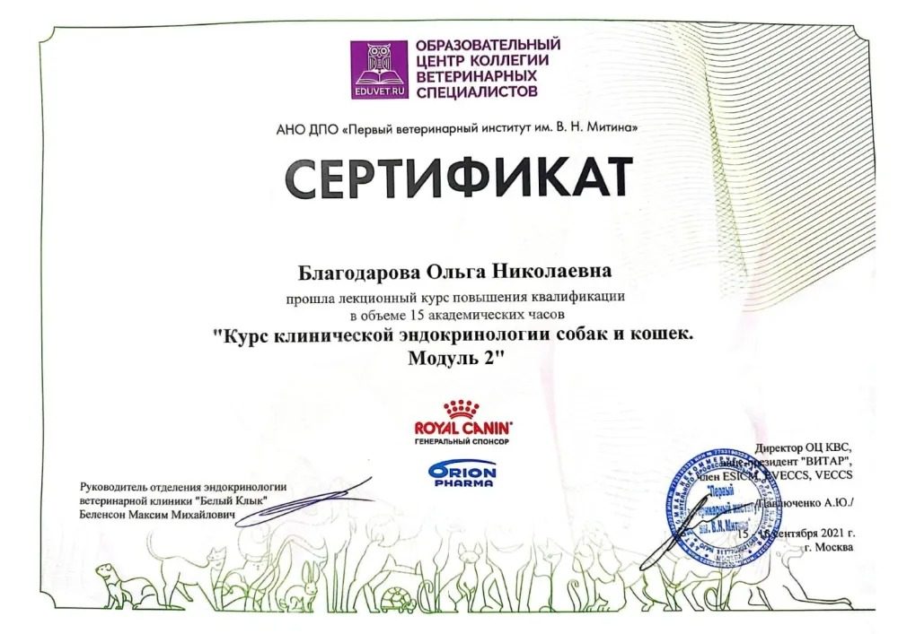 Документ или сертификат