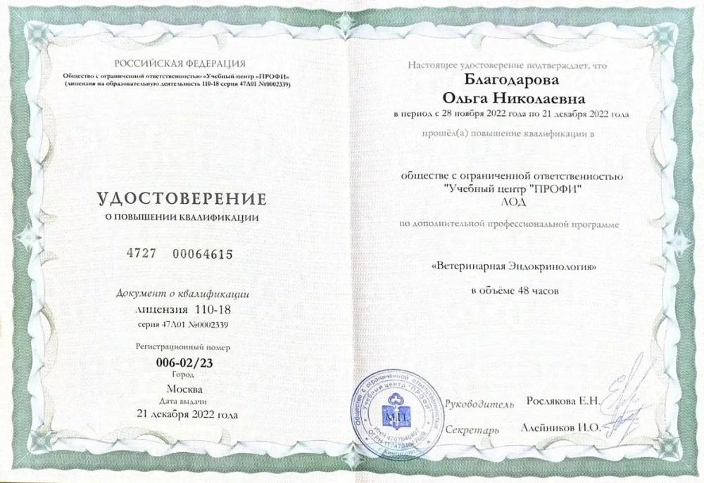 Документ или сертификат
