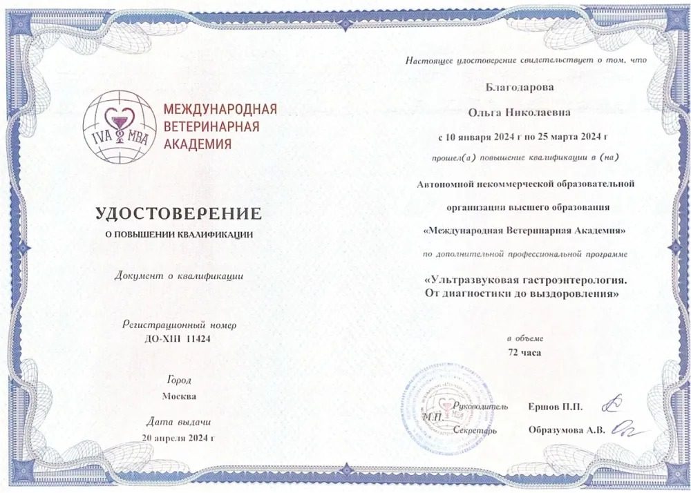 Документ или сертификат