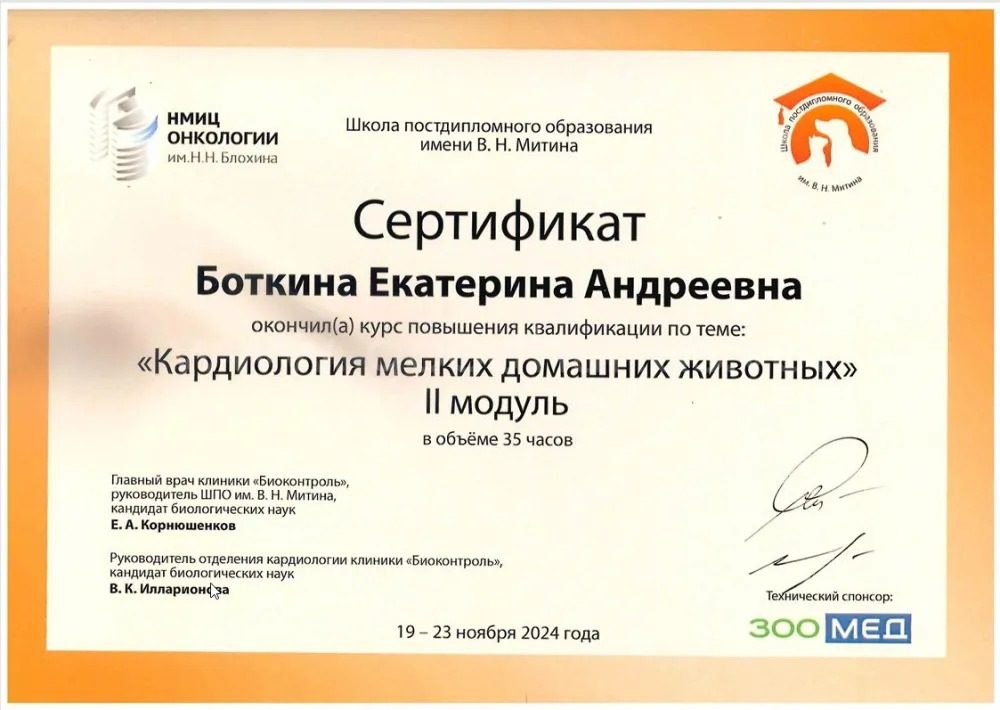 Документ или сертификат