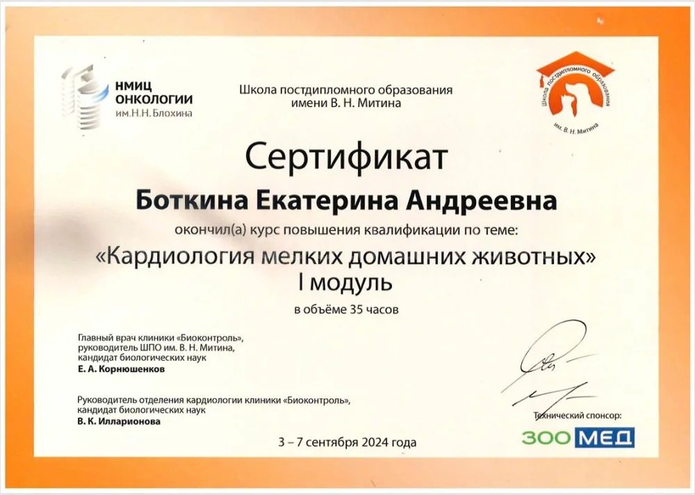 Документ или сертификат