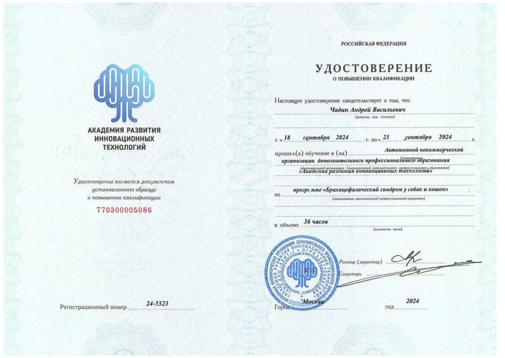 Документ или сертификат