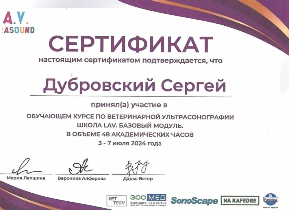 Документ или сертификат