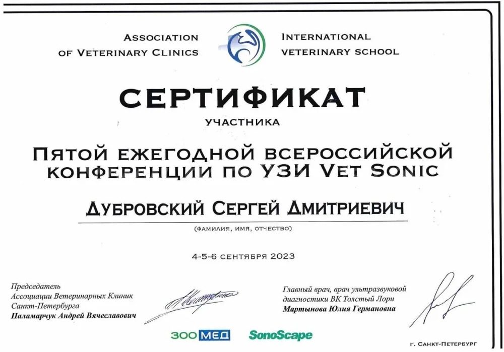 Документ или сертификат
