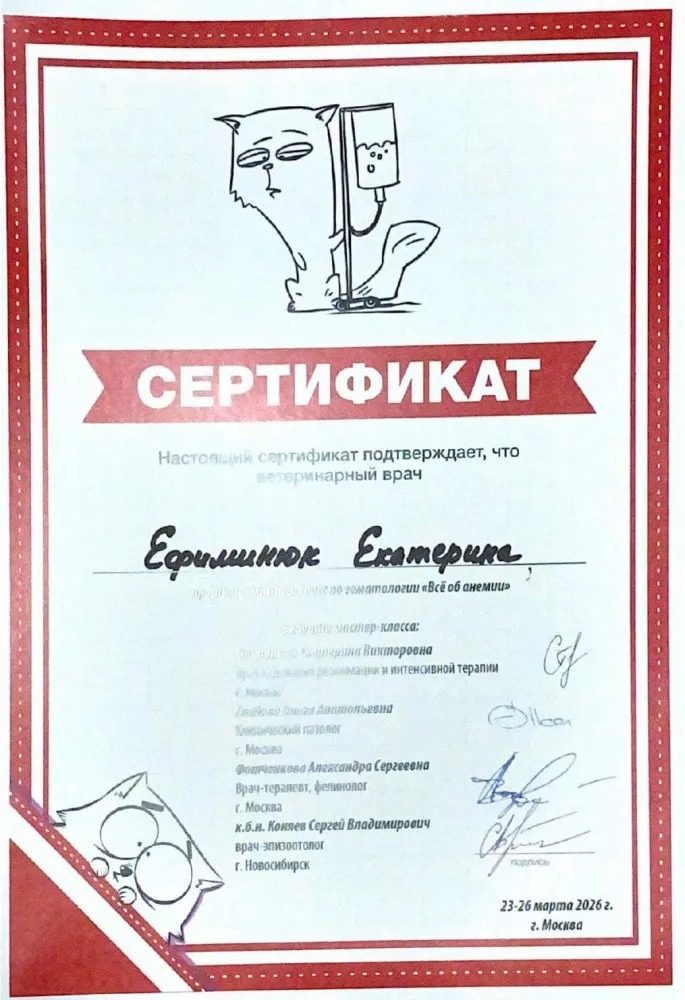 Документ или сертификат